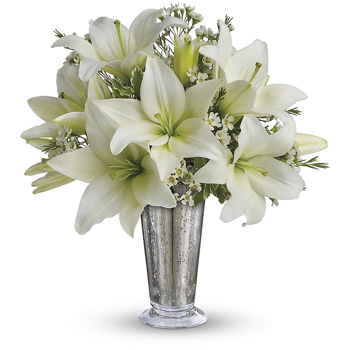 Written in the Stars