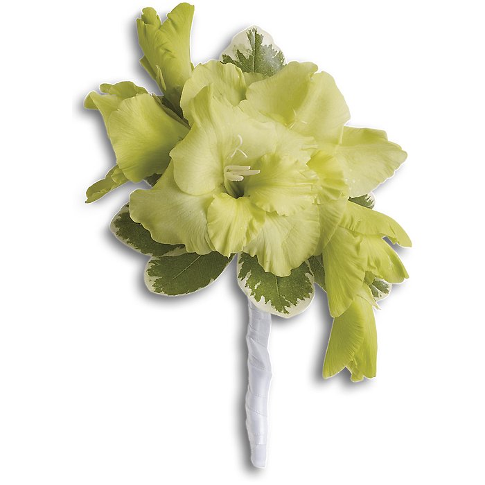 Grand Gladiolus Boutonniere