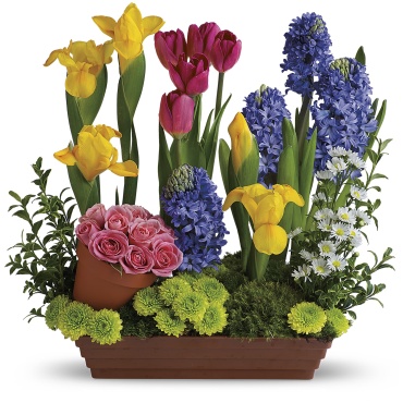 Spring Favorites