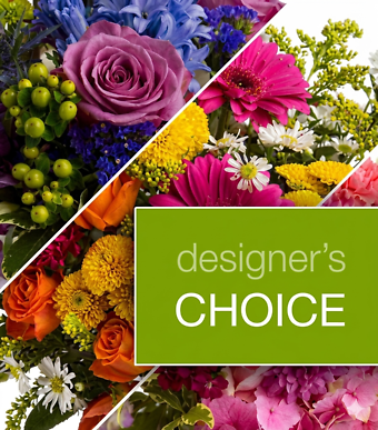 Designers Choice