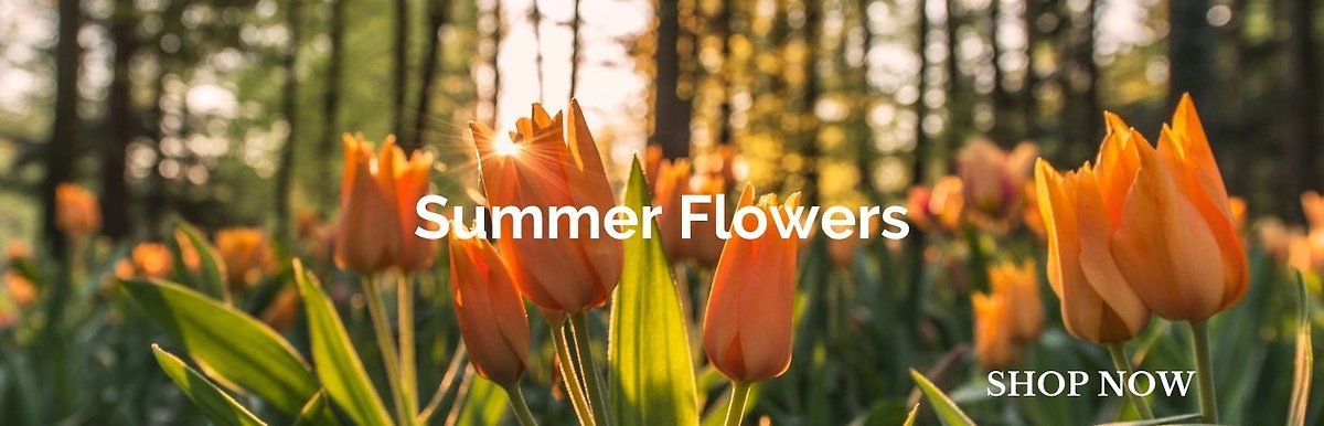 Summer
